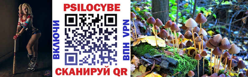 Псилоцибиновые грибы ЛСД  что такое   Шарыпово 