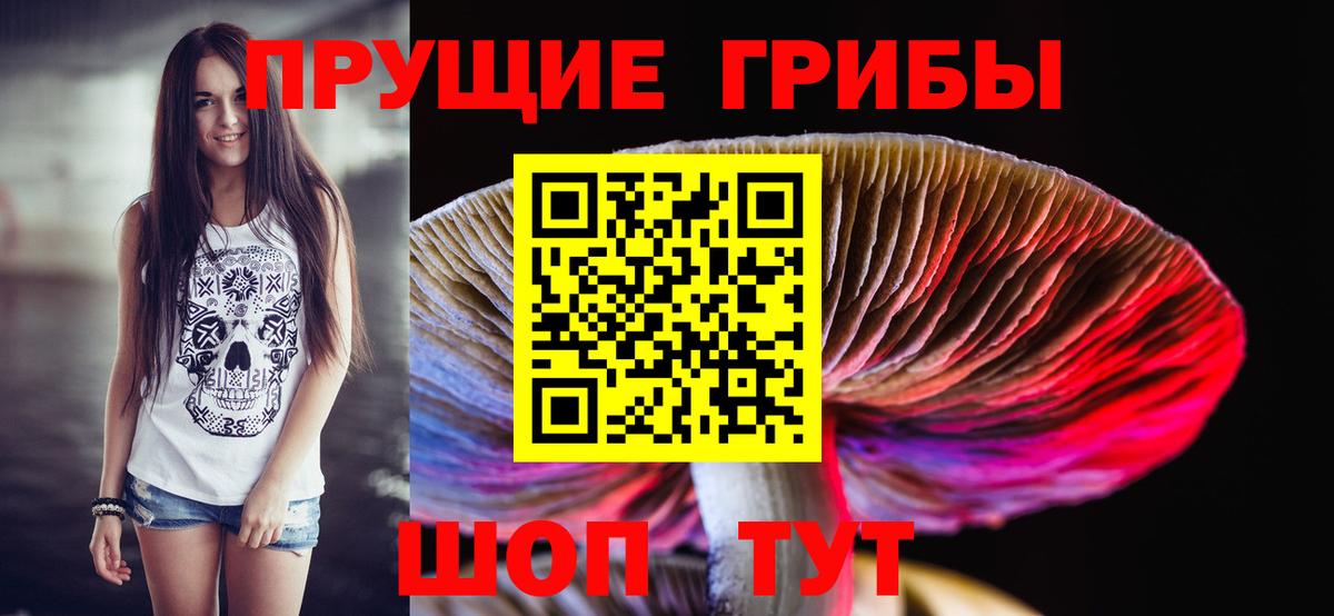 Псилоцибиновые грибы Psilocybine cubensis  Псилоцибиновые грибы Psilocybine cubensis  Вход с VPN  Шарыпово 