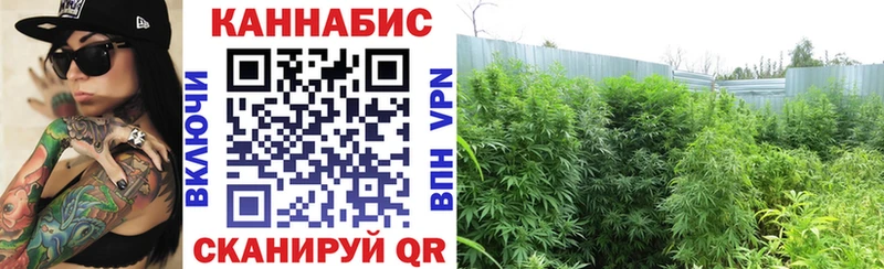 Бошки Шишки OG Kush Шарыпово